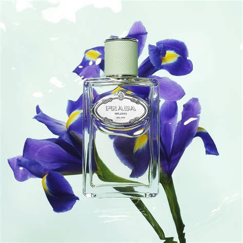 prada infusion iris 50 ml|prada infusion d'iris sephora.